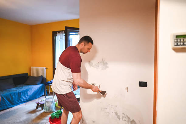 Best Mold Removal Near Me  in Oak Grove, MS
